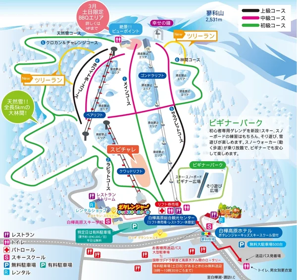 【新宿朝発】ぶっとび!日帰りスキー&スノボ|白樺高原国際スキー場(リフト券付)3